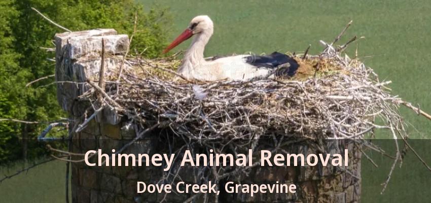 Chimney Animal Removal Dove Creek, Grapevine - TX