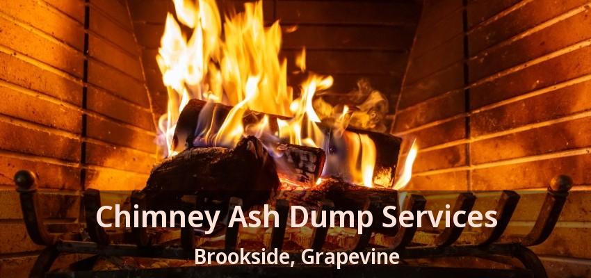 Chimney Ash Dump Services Brookside, Grapevine - TX