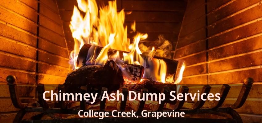 Chimney Ash Dump Services College Creek, Grapevine - TX