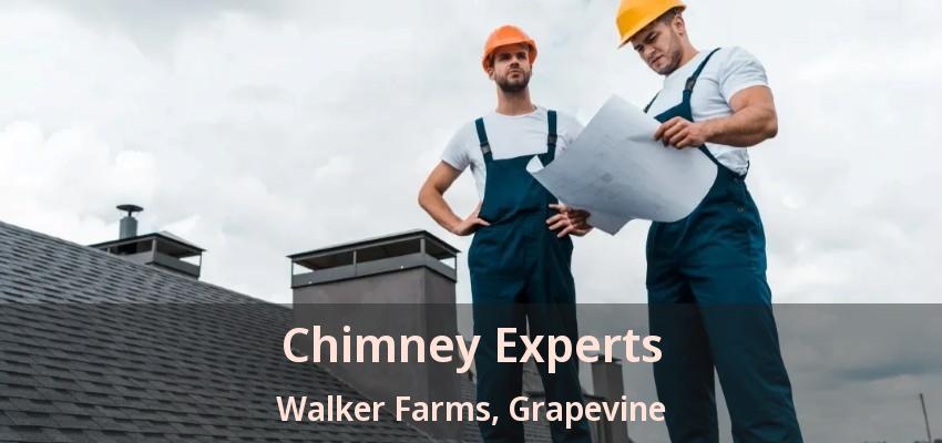 Chimney Experts Walker Farms, Grapevine - TX