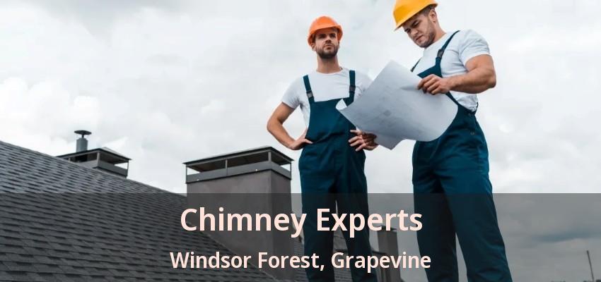 Chimney Experts Windsor Forest, Grapevine - TX