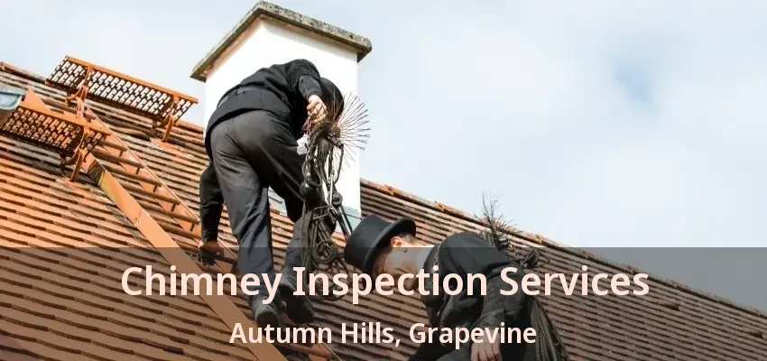 Chimney Inspection Services Autumn Hills, Grapevine - TX