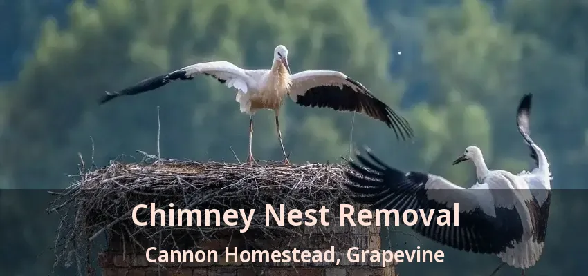 Chimney Nest Removal Cannon Homestead, Grapevine - TX
