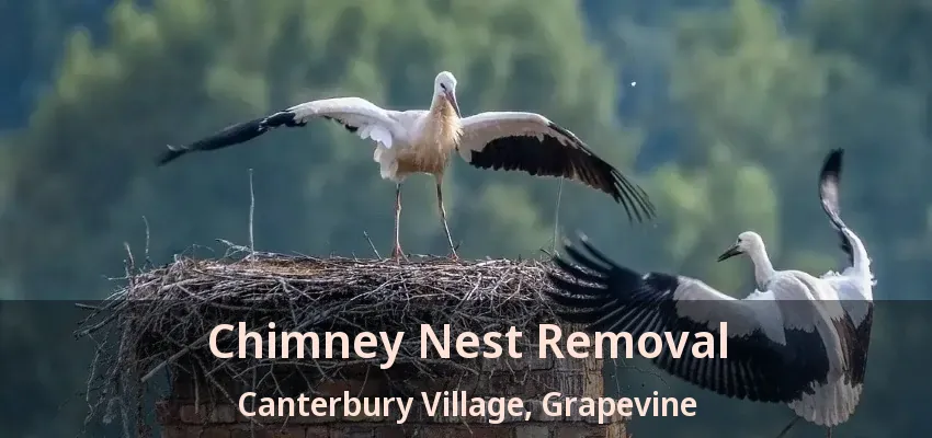Chimney Nest Removal Canterbury Village, Grapevine - TX