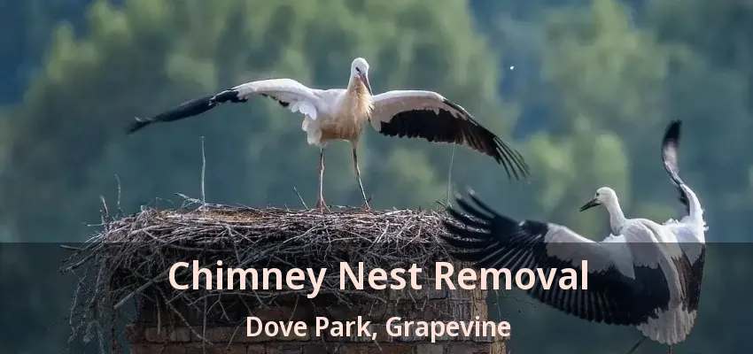 Chimney Nest Removal Dove Park, Grapevine - TX