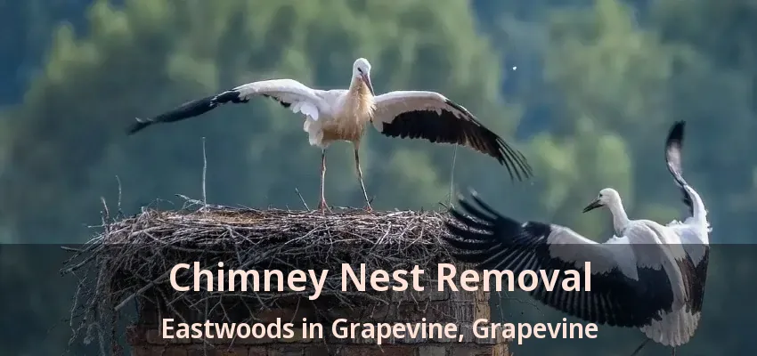 Chimney Nest Removal Eastwoods in Grapevine, Grapevine - TX