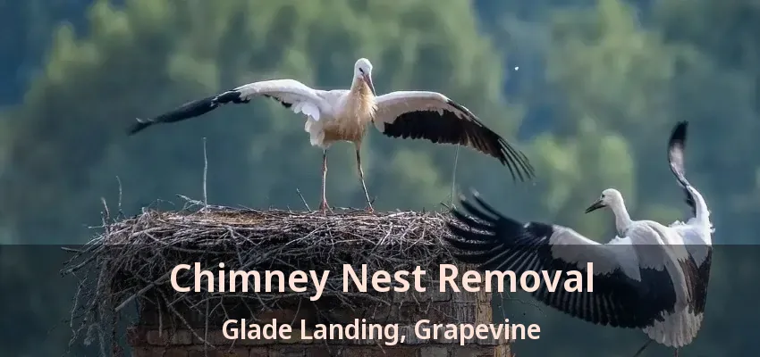 Chimney Nest Removal Glade Landing, Grapevine - TX