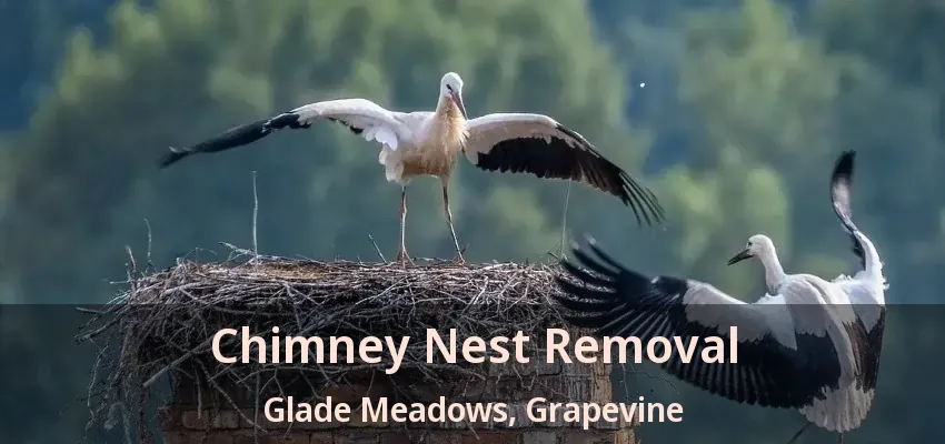 Chimney Nest Removal Glade Meadows, Grapevine - TX