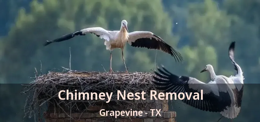 Chimney Nest Removal Grapevine - TX