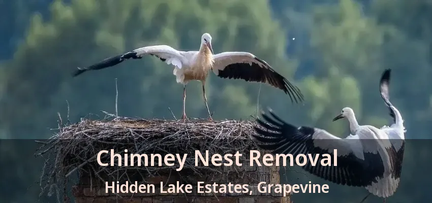 Chimney Nest Removal Hidden Lake Estates, Grapevine - TX