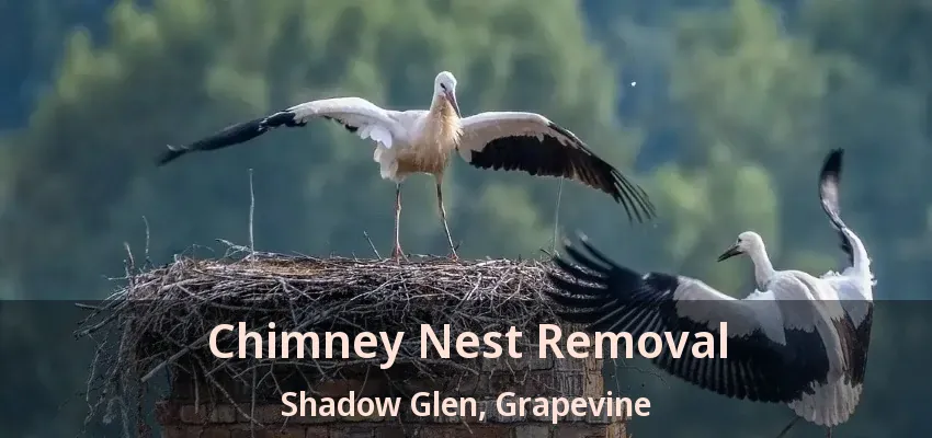 Chimney Nest Removal Shadow Glen, Grapevine - TX