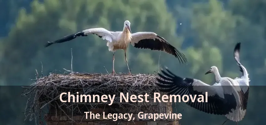 Chimney Nest Removal The Legacy, Grapevine - TX