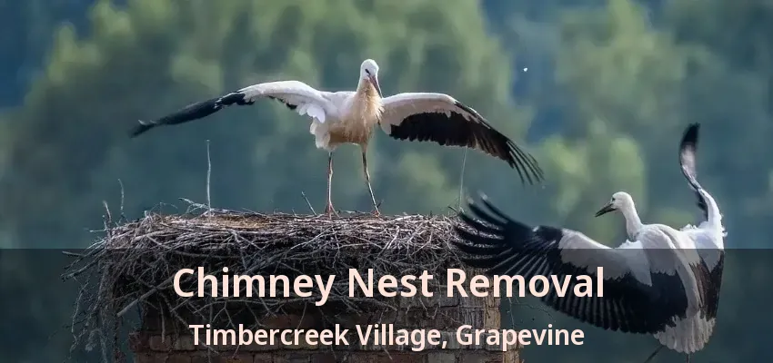 Chimney Nest Removal Timbercreek Village, Grapevine - TX