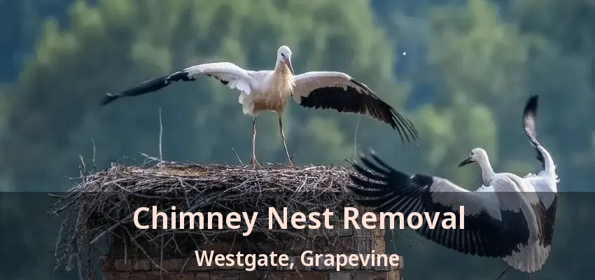 Chimney Nest Removal Westgate, Grapevine - TX