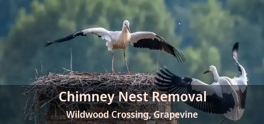 Chimney Nest Removal Wildwood Crossing, Grapevine - TX