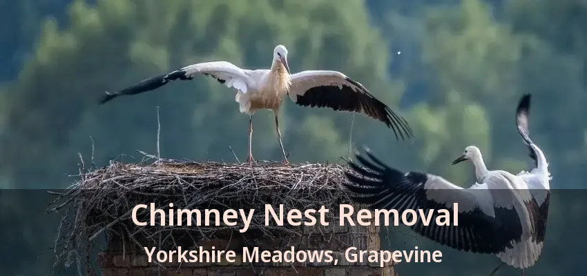 Chimney Nest Removal Yorkshire Meadows, Grapevine - TX