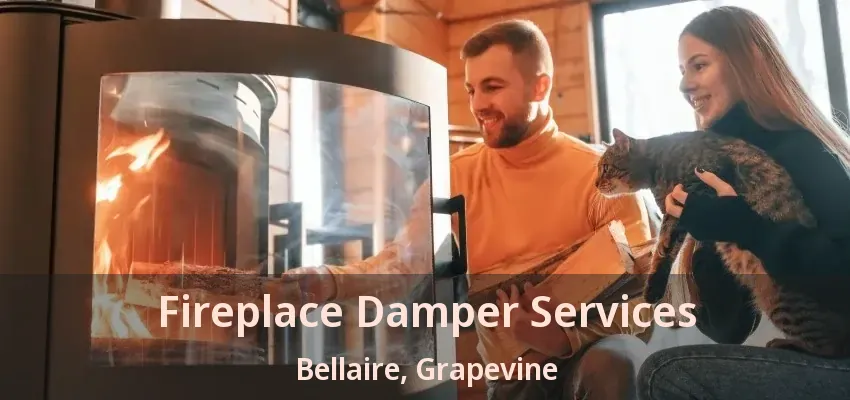 Fireplace Damper Services Bellaire, Grapevine - TX