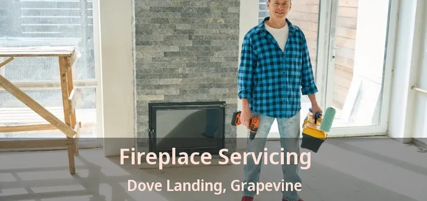 Fireplace Servicing Dove Landing, Grapevine - TX