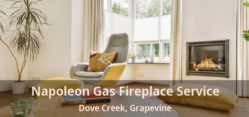 Napoleon Gas Fireplace Service Dove Creek, Grapevine - TX