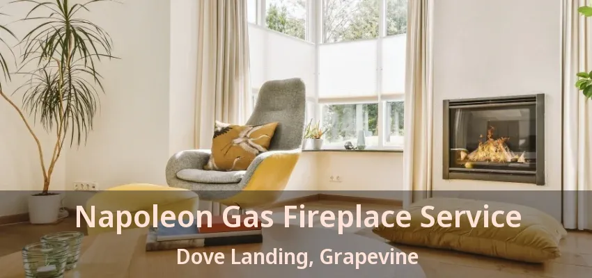 Napoleon Gas Fireplace Service Dove Landing, Grapevine - TX