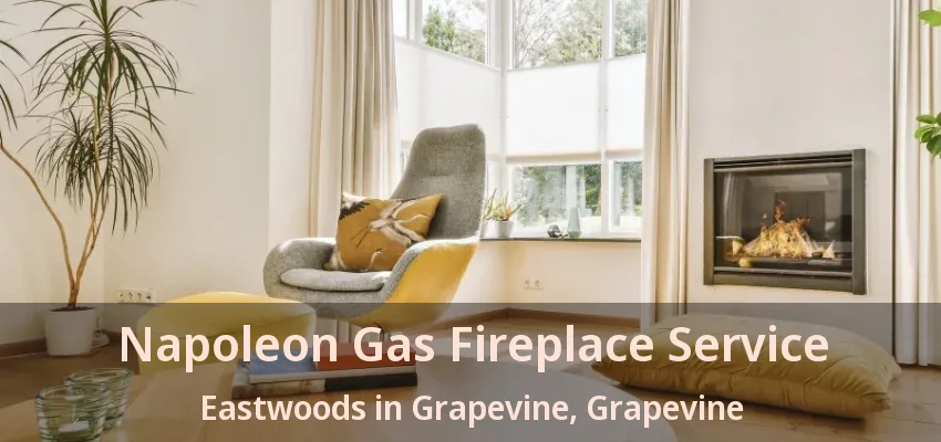 Napoleon Gas Fireplace Service Eastwoods in Grapevine, Grapevine - TX