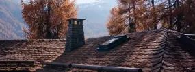 Chimney Animal Removal Grapevine