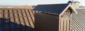 Chimney Cap Services Grapevine