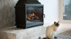 Wood Burning Fireplace Repair Grapevine