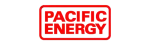 Pacific Energy Regency Fireplace Repair in Grapevine